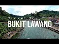 Bukit Lawang : Berkunjung ke Wisata Alam Bukit Lawang dengan Akses Jalan Ciamik