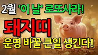 돼지띠 주목! 25년 2월 운명을 바꿀 큰일이 터집니다! '이 날' 반드시 주목하세요 ㅣ47년 59년 71년 83년 95년 돼지띠 운세