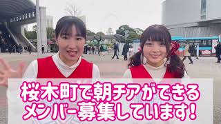 朝チア新メンバー募集！byチーム桜木町(全日本女子チア部☆AJO)