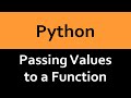 Passing Values to a Function in Python