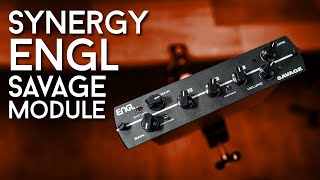 Synergy Engl Savage Module Review