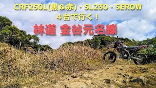 【反省】CRF250L２台・SL230・SEROWで行く！【林道 金谷元名線】