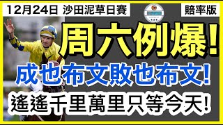 [小梁論馬]12月24日沙田兩泥八草日賽~賠率版 | 周六例爆! | 成也布文敗也布文! | 遙遙千里萬里只等今天! | 賽馬KOL-小梁@KleagueworkshopKen