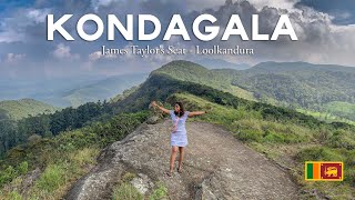 Kondagala - James Taylor's seat  - Loolecondera Tea Estate