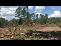 east texas logging hydro ax feller buncher