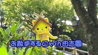 「お散歩するにゃ in 由志園」にゃ！！