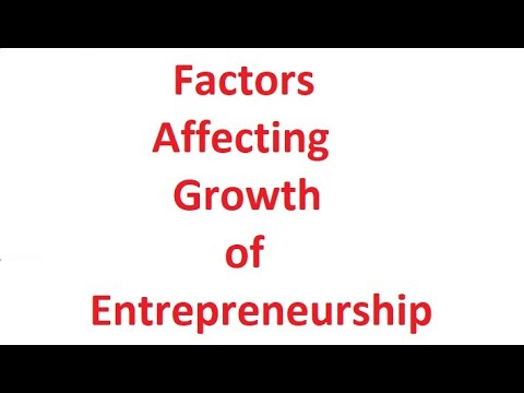 Factors Affecting Entrepreneurship - YouTube