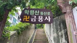 Walked _ Mountain View in Geumchon Paju-si Gyeonggi-do South Korea 🇰🇷 학령산 - 금촌 파주시 경기도