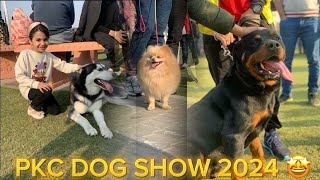PKC All Breed Dog Show in DHA Lahore 2024 |Cacib Dog Show