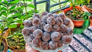 আমলকির হজমি গুলি | টক, নুন, ঝাল, মিষ্টি আমলকির হজমি গুলি | Amlokir Hojmi Recipe | Amloki