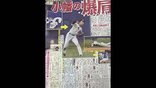 阪神開幕3連勝！岡田監督采配的中！