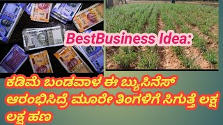 BestBusiness Idea:ಕಡಿಮೆ ಬಂಡವಾಳ ಈ ಬ್ಯುಸಿನೆಸ್ ಆರಂಭಿಸಿದ್ರೆ ಮೂರೇ ತಿಂಗಳಿಗೆ ಸಿಗುತ್ತೆ ಲಕ್ಷ ಲಕ್ಷ ಹಣ