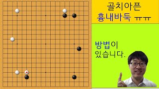 흉내바둑! 다시는 흉내도 내지 못 하게 해줍시다!/프로바둑강좌/동규의 바둑