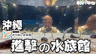 DMM Kariyushi 水族館 | 進擊的水族館 (中文字幕)