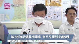 槟7养猪场爆非洲猪瘟  宰万头猪列灾难级别【2023.01.13 八度空间华语新闻】