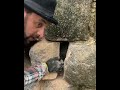 hidden old coins in a wall 1800-1900 years