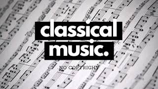 No Copyright Classical Music - Symphony No 5 by Beethoven (Sample CM06) - 5 tracks for $5