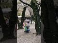 災害級の花吹雪に襲われる 靖国神社の桜 ハプニング 外国人観光客