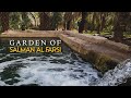 Garden & Story Of Salman Al Farsi l Sahaba Series l Madinah Ziyarat