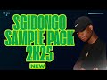 AMAPIANO | SGIDONGO SAMPLE PACK 2K25