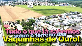 Tudo que se sabe sobre o Terreno das Vaquinhas de Ouro do Jardim Aquarius, como será o Novo Bairro?