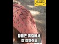 프랑스 🇫🇷 몽블랑 utmb 99 아내랑 동반주 국내 미출시 실로몬 울트라 글라이드 트레일러닝화 간단 리뷰 trainingrunning 트레일러닝 마라톤