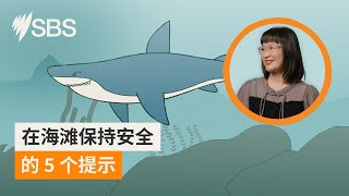 在海滩保持安全的五个小贴士| Australia Explained | Mandarin | SBS中文