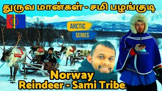 துருவ மான்கள் பாத்தாச்சு Reindeer and Sami People #winter #roadtrip #norway #norwaynature #travel