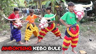 #eps2 ANBOKSING BANTENGAN KEBO BULE BANTENG ALBINO LANGSUNG MBEROT KALAP