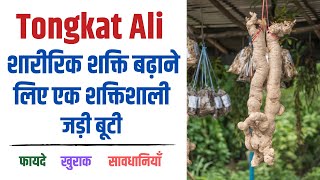 Tongkat Ali Herb Health Benefits, Dosage, Side Effects in Hindi