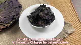 Zi su ye high quality natural chinese herb perilla folium dry purple shiso leaf dried perilla leaves