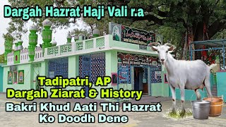 Haji Vali Dargah History | Tadipatri, AP | Bakri Khud Aati Thi Doodh Dene Ko | Part.1