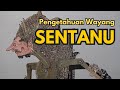 Pengetahuan Wayang Sentanu