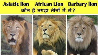 Asiatic lion African lion and barbary lion who is best ll तीनों में कौन है तगड़ा ?