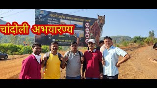 chandoli abhyaranya trek चांदोली अभयारण्य ट्रेक