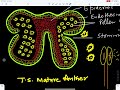 sexual reproduction in flowering plants 4 dehiscence of anthers