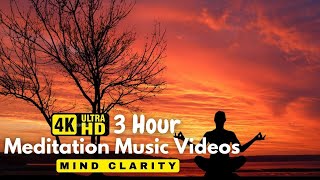 Meditation Music ● Yoga Music, Zen, Calm Music, Yoga Workout, Sleep, Spa, Healing, Study, Yoga