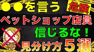 【ペットショップのトラブルを回避！】賢い飼い主のための心得5選