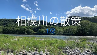 【相模川の散策】1/2 大島キャンプ場〜小倉橋まで