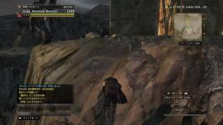 【DDON】シーカーショートカット(隼および高跳なし)　ゾマ～死王の迷宮