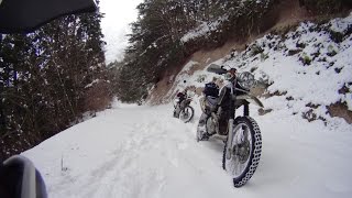 雪中 恵下谷 林道 ｺｹあり