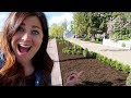 Sprinter Boxwood Hedge Part 3: Trimming & Mulching! 🙌😍// Garden Answer