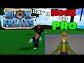 ROBLOX BLOXFRUIT NOOB TO PRO DAY 1