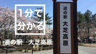 Aランク　道の駅　大芝高原　車中泊　長野県　上伊那郡　お風呂　温泉　買い物　野宿　#145