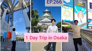 EP.266 1 Day Trip in Osaka (One Day Pass หรือ Osaka Amazing Pass) บัตรรถไฟไหนใช้คุ้มกว่ากัน