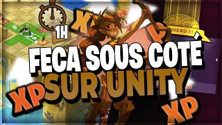 TEST DU FECA SUR DOFUS UNITY ! RUSH XP ! UNE DES MEILLEURS CLASSE DE DOFUS ! DOFUS 3.0 !