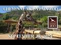 Cheyenne Mountain Zoo | September 20, 2024