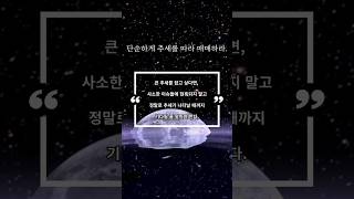 프로는 어떻게 매매하는가