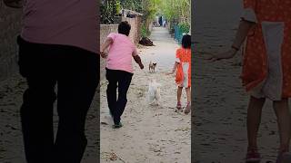 একি কাণ্ড!!😁   #shortvideo #shorts #reels #viralvideo #vlog #pets #dog #doglover #family #petlover