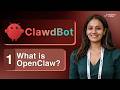 What is OpenClaw? – Your AI Personal Assistant